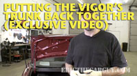 Vigor Trunk